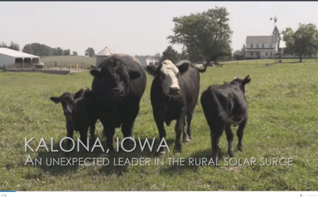 A Solar Leader Emerges in Rural Iowa