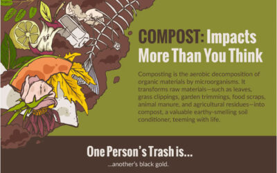 Infographic: Compost Impacts More Than You Think