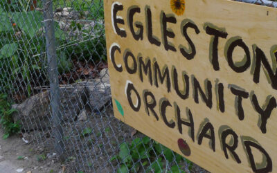 Reclaiming Our Commons: Egleston Community Orchard