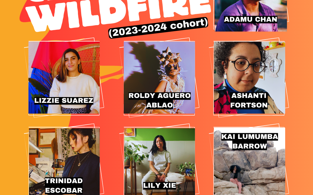 MEET OUR CREATIVE WILDFIRE ARTISTS & ORGS 🔥