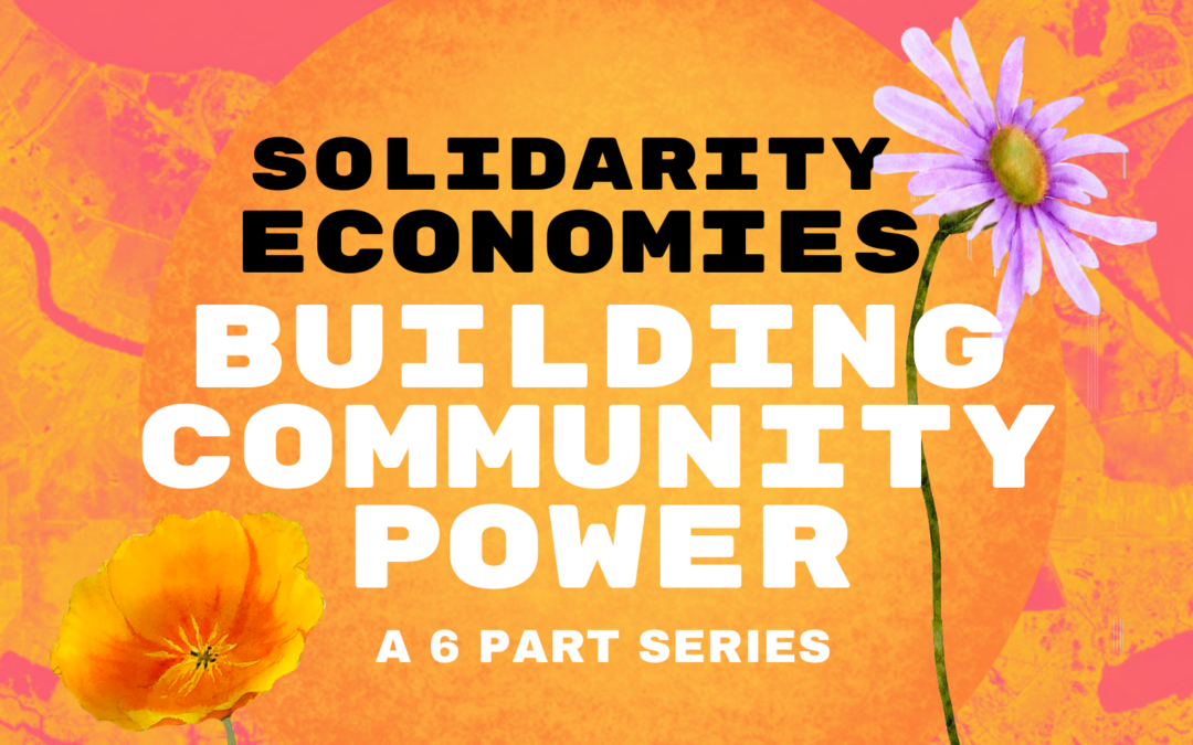 Seeding Solidarity Economies: What’s Behind the Emerging Ecosystems