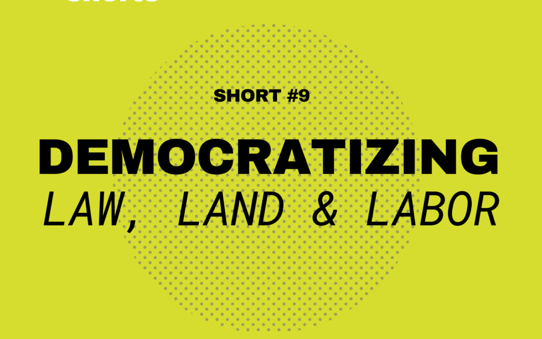Solidarity Economy Shorts #9: Democratizing Law, Land, & Labor with SELC